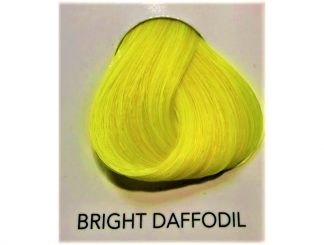 Directions Bright Daffodil