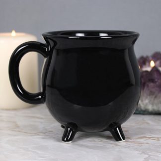 Spirit of Equinox Black Cauldron Mug