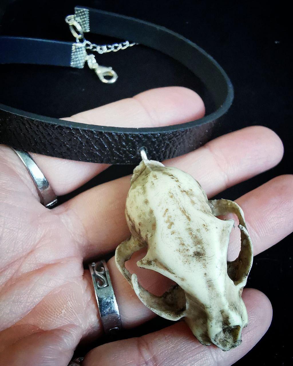 Mystery Creation Choker Katzenschädel – Bild 3