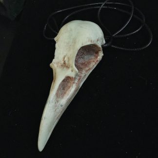 Mystery Creation Kette großer Rabenschädel natur