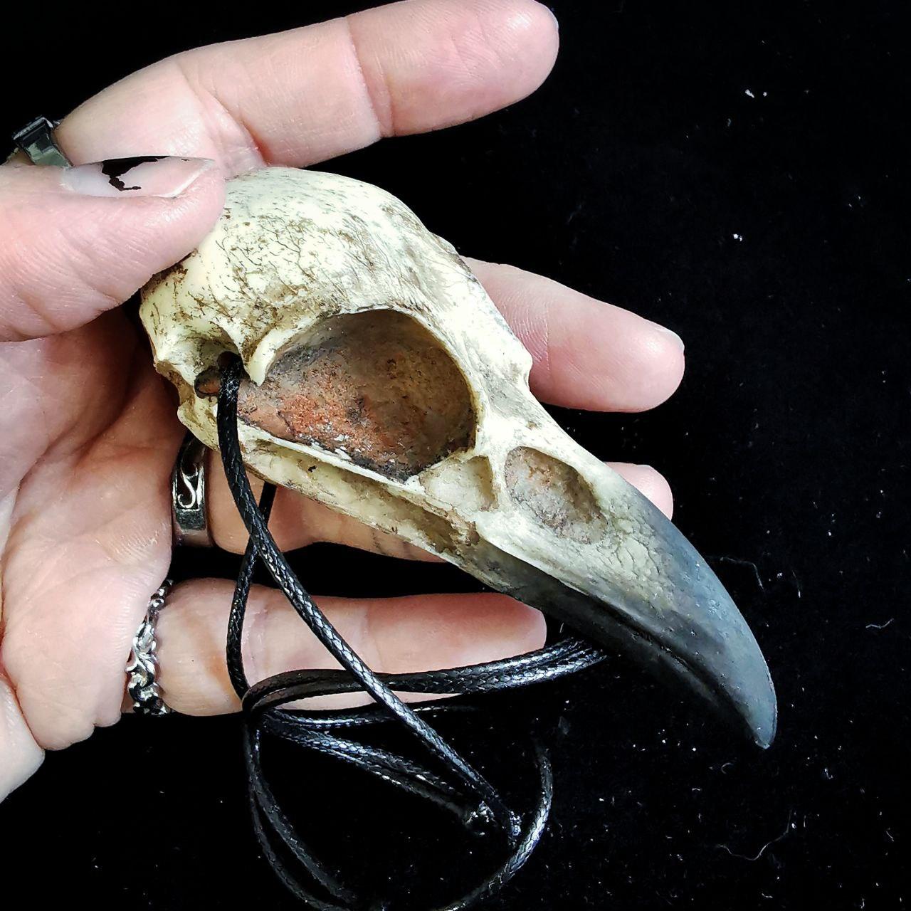 Mystery Creation Kette großer Rabenschädel – Bild 3