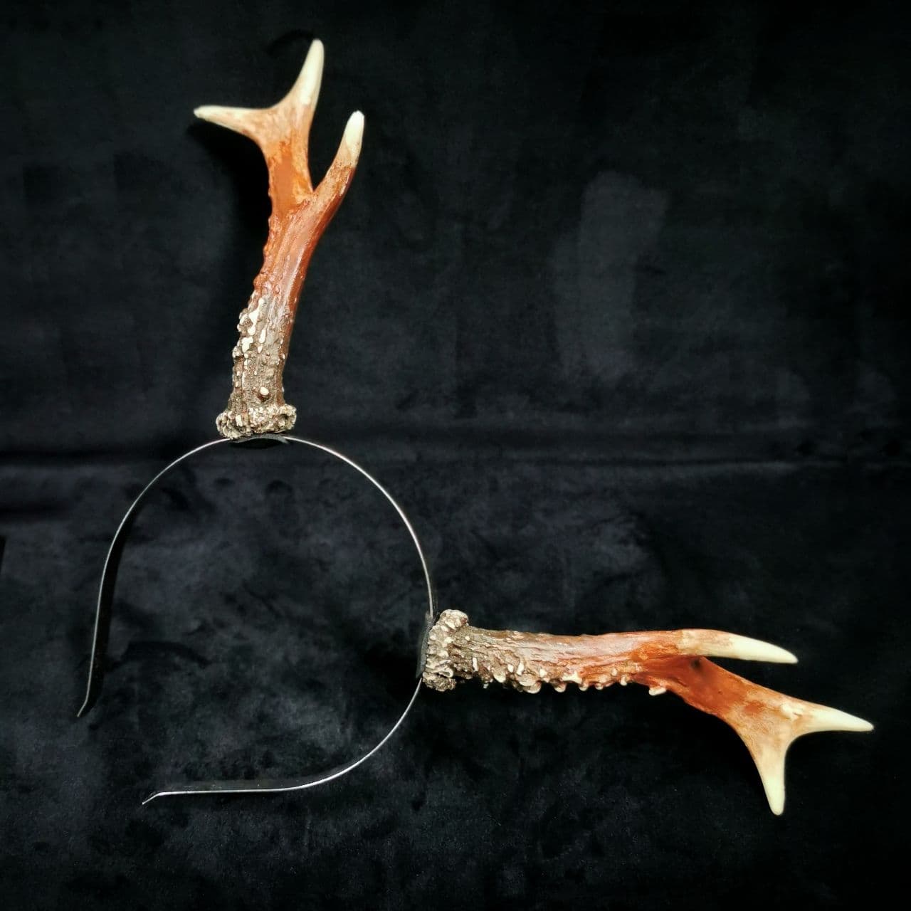 Mystery Creation Antlers - Image 2