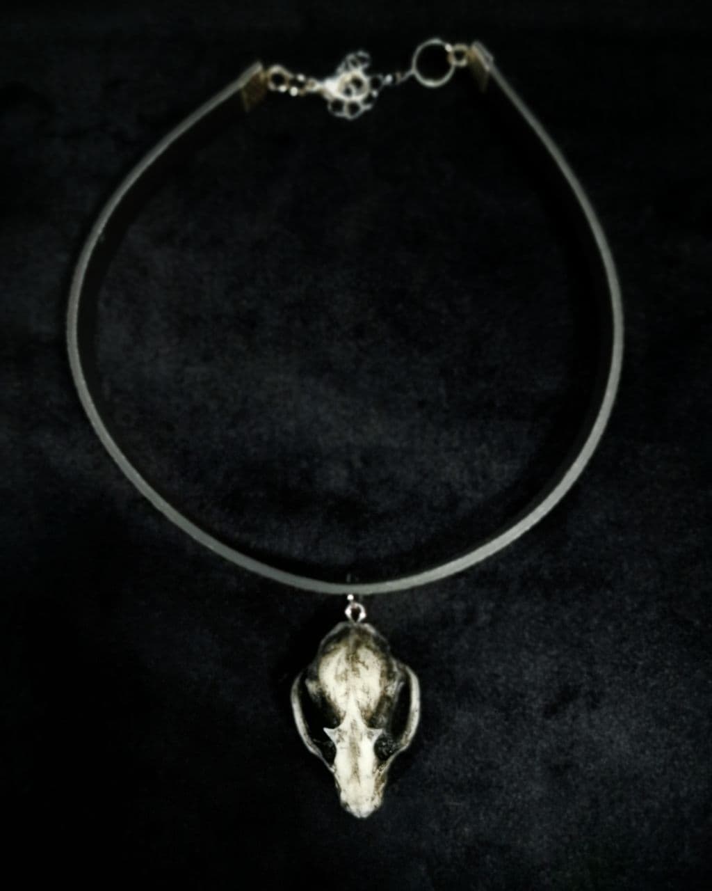 Mystery Creation Choker Fledermausschädel weiß