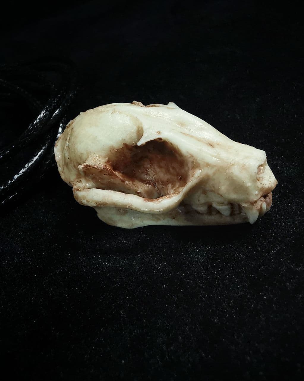 Mystery Creation Kette Fledermausschädel natur – Bild 2