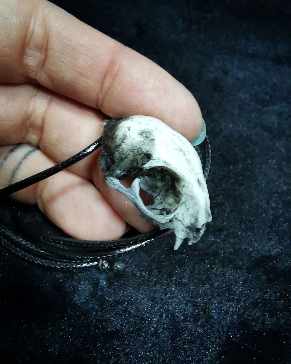 Mystery Creation Kette Katzenschädel weiß