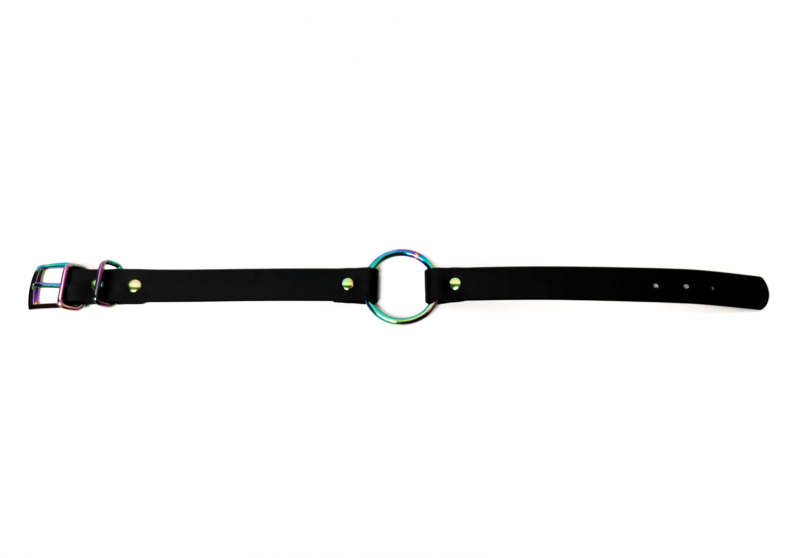 Sacred Sins Rainbow Fenix Choker schmal – Bild 2