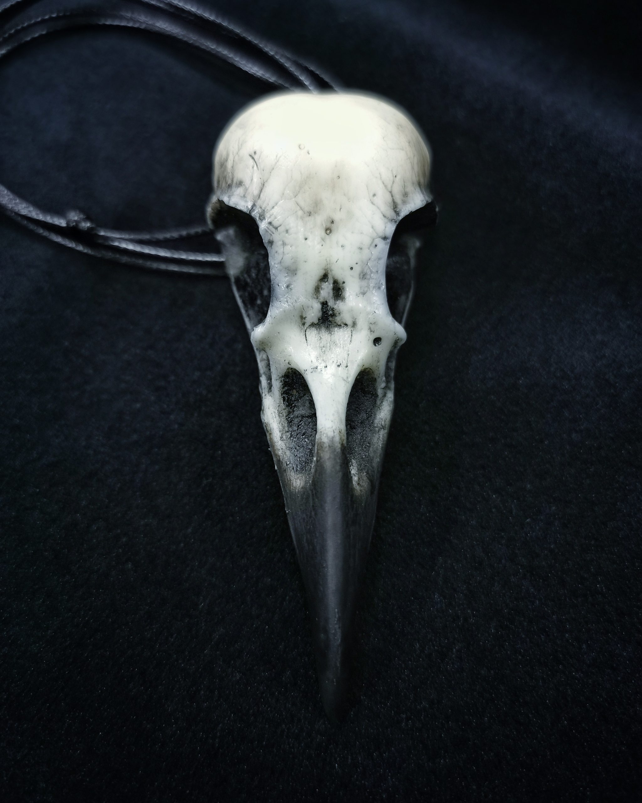 Mystery Creation Kette großer Rabenschädel weiß mit Schnabel – Bild 2