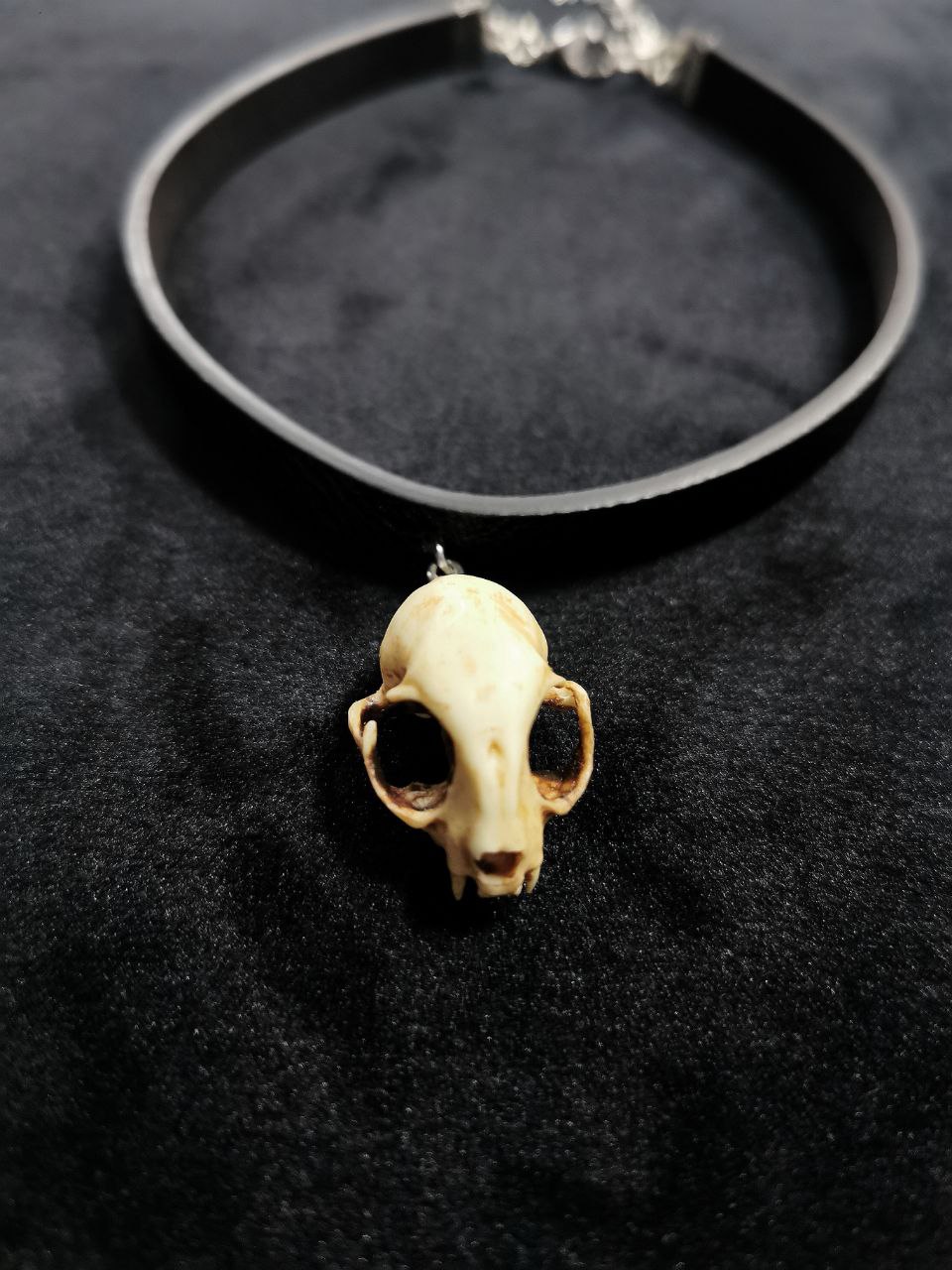 Mystery Creation Choker Katzenschädel natur