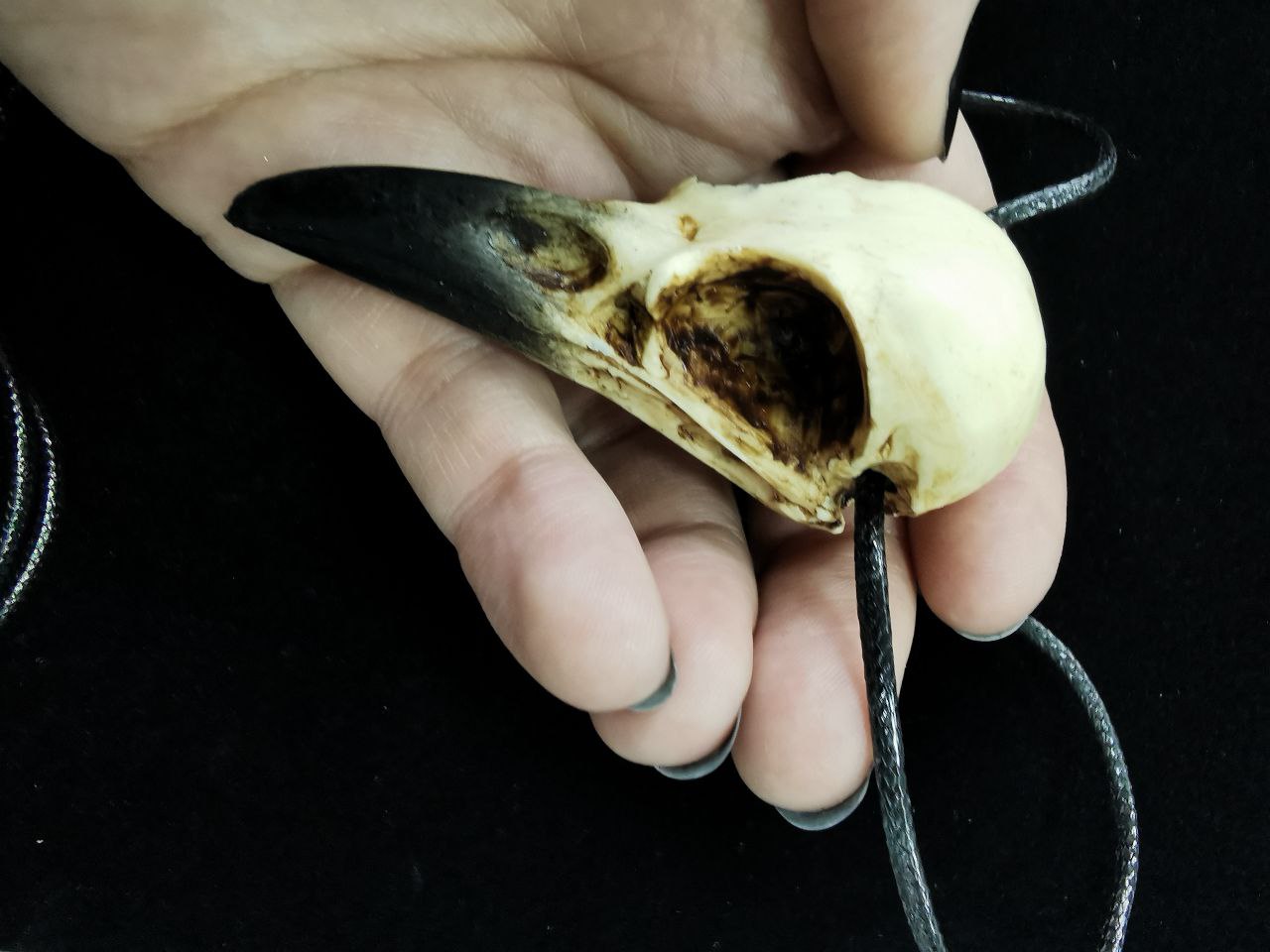 Mystery Creation Kette Rabenschädel medium – Bild 2