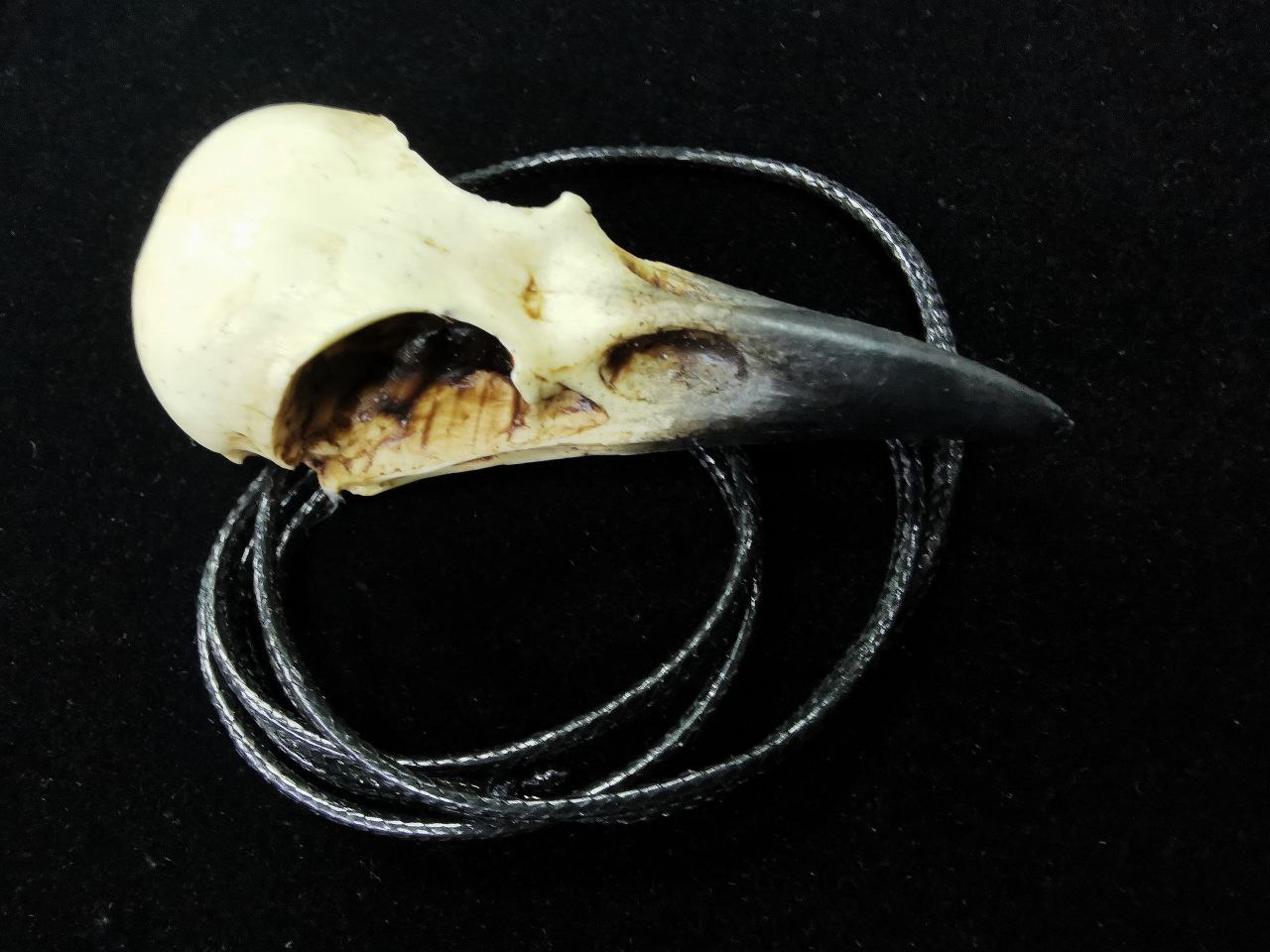 Mystery Creation Kette Rabenschädel medium – Bild 3