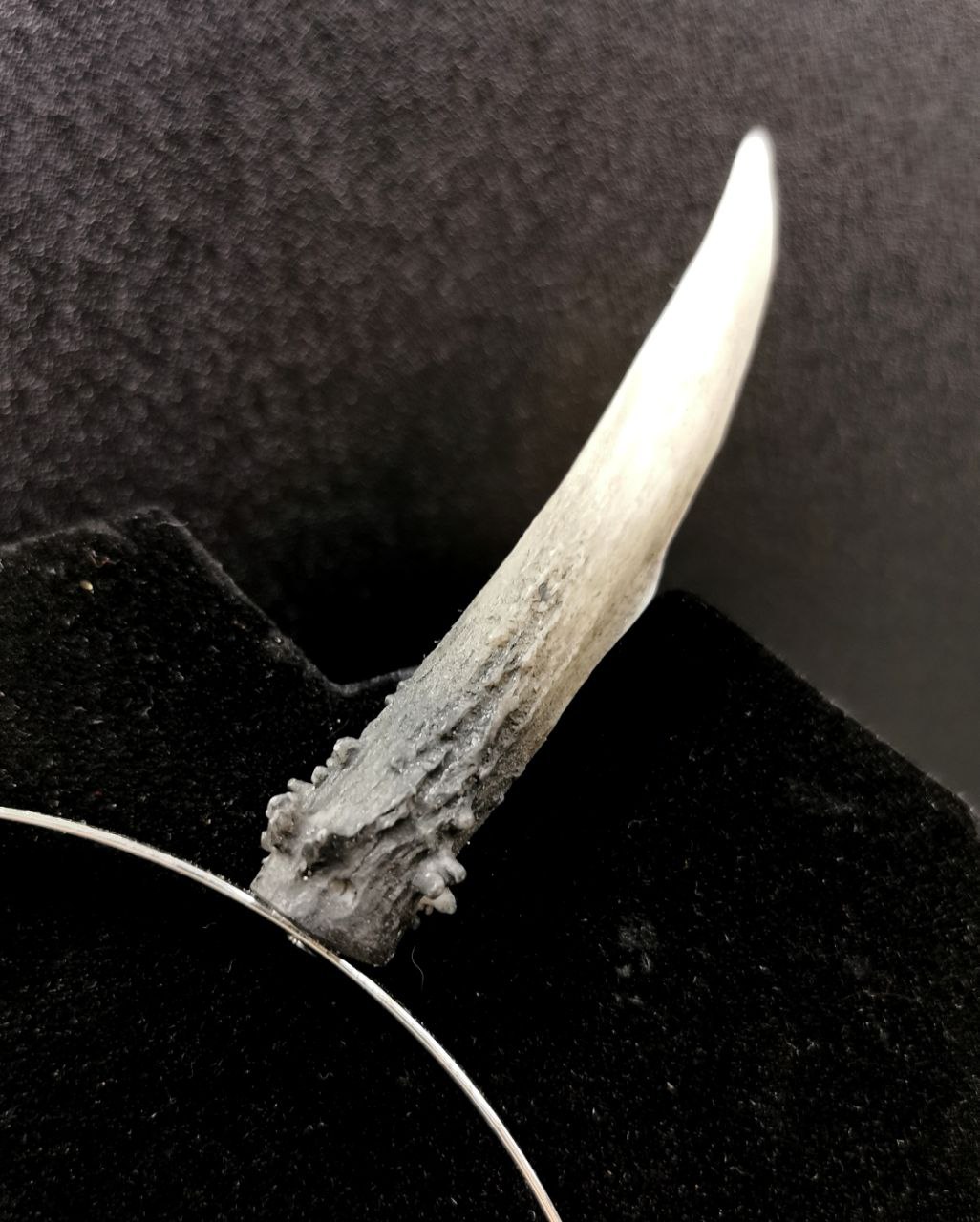 Mystery Creation Mini Antlers weiß – Bild 3