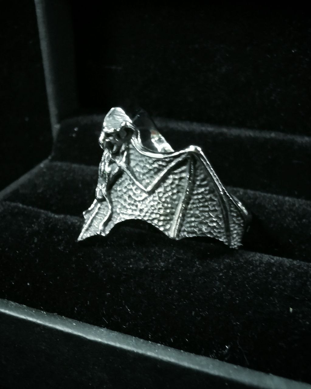 Ring Vespertilio – Bild 2