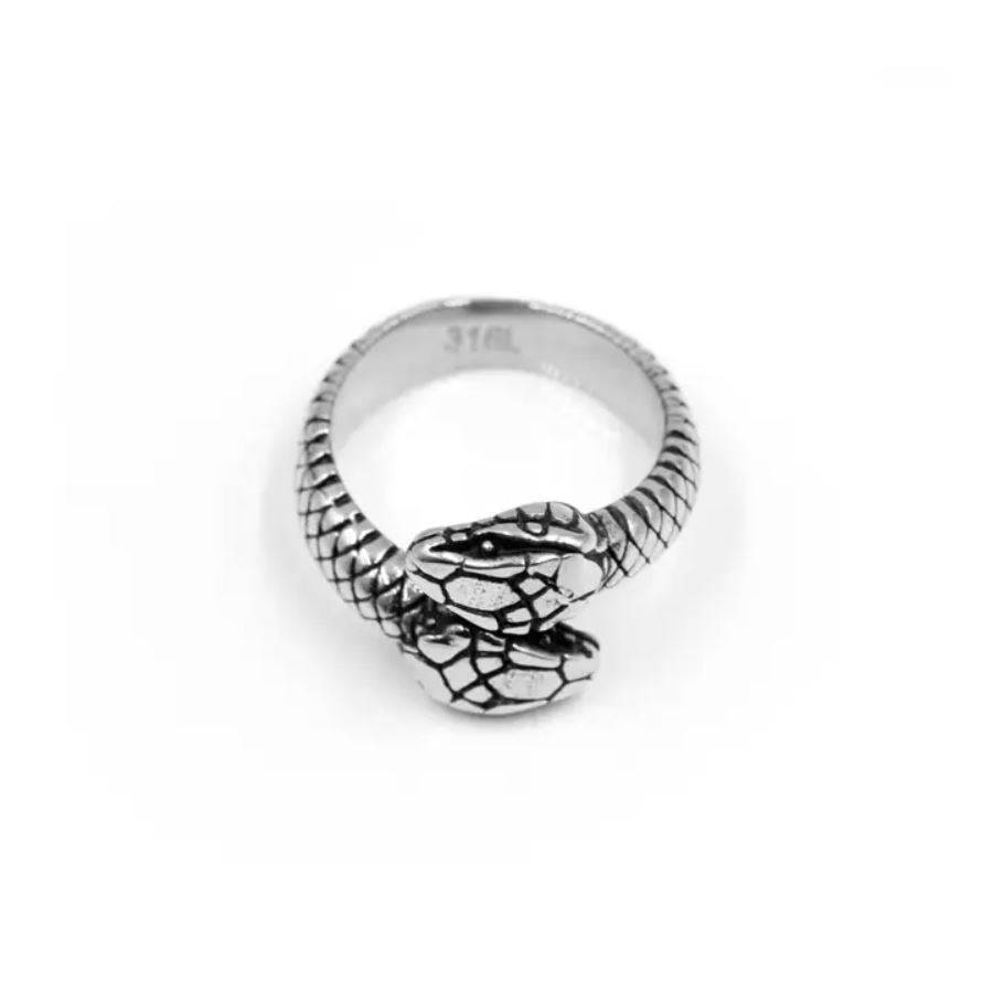 Ring Serpens Geminos – Bild 2