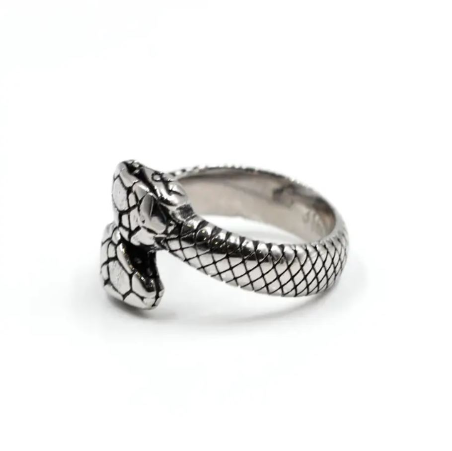 Ring Serpens Geminos – Bild 3