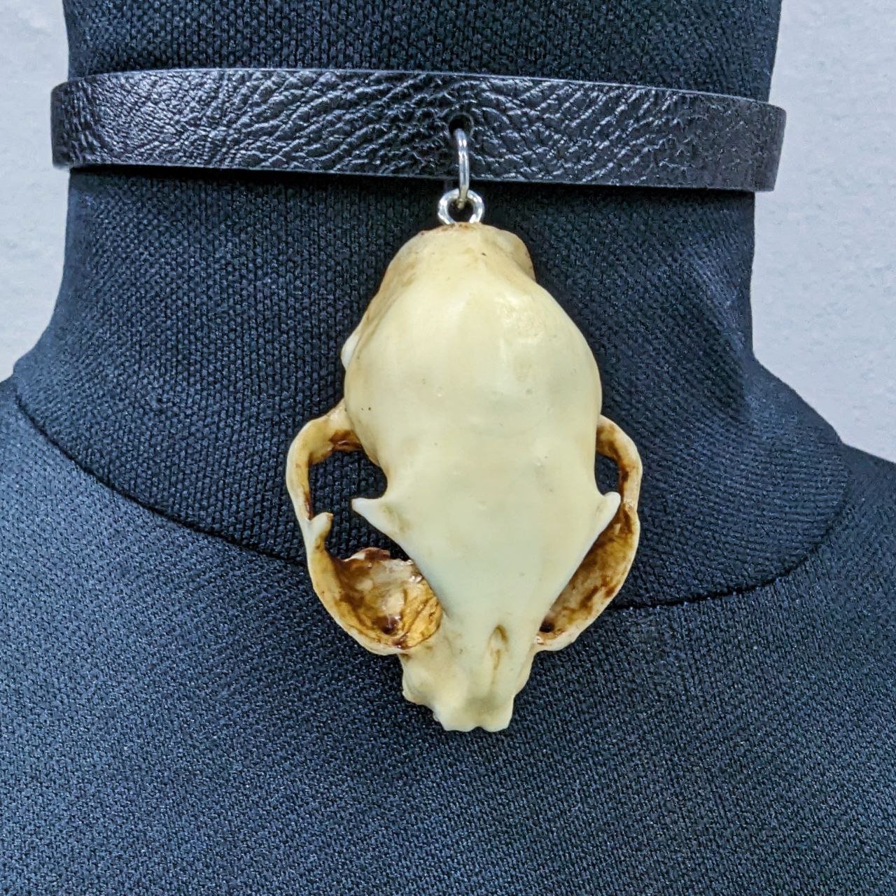 Mystery Creation Choker Katzenschädel groß natur
