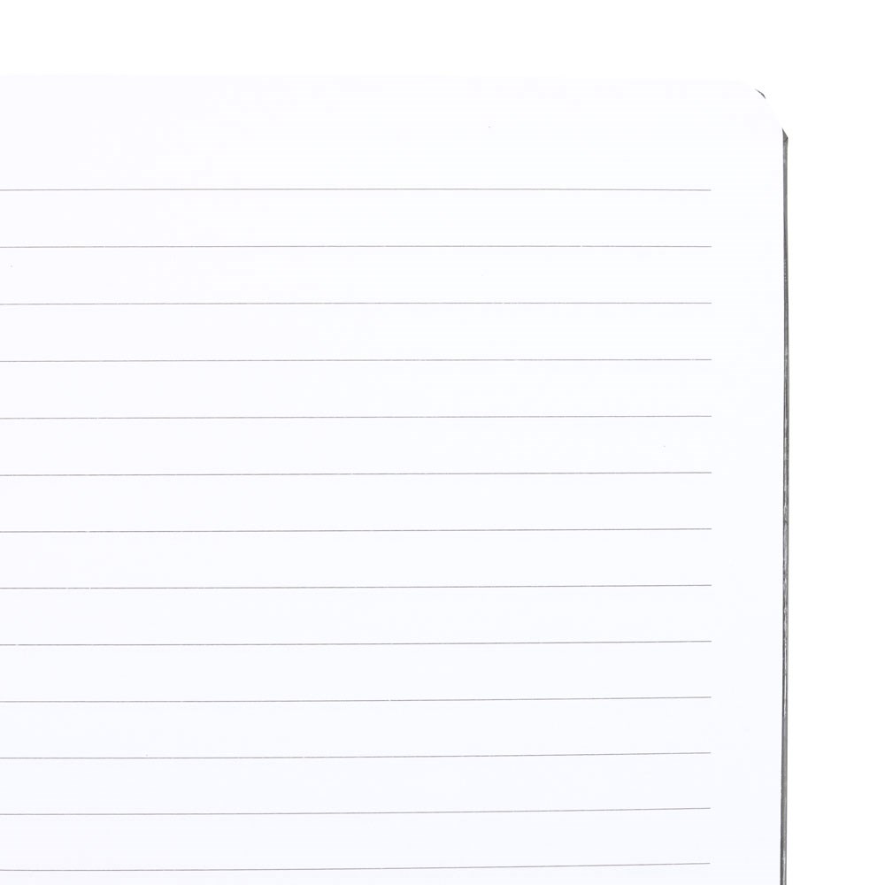 Spirit of Equinox Luna Moth A5 Notebook - Image 3