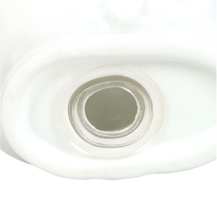 Spirit of Equinox Skull Salt and Pepper Shakers – Bild 6