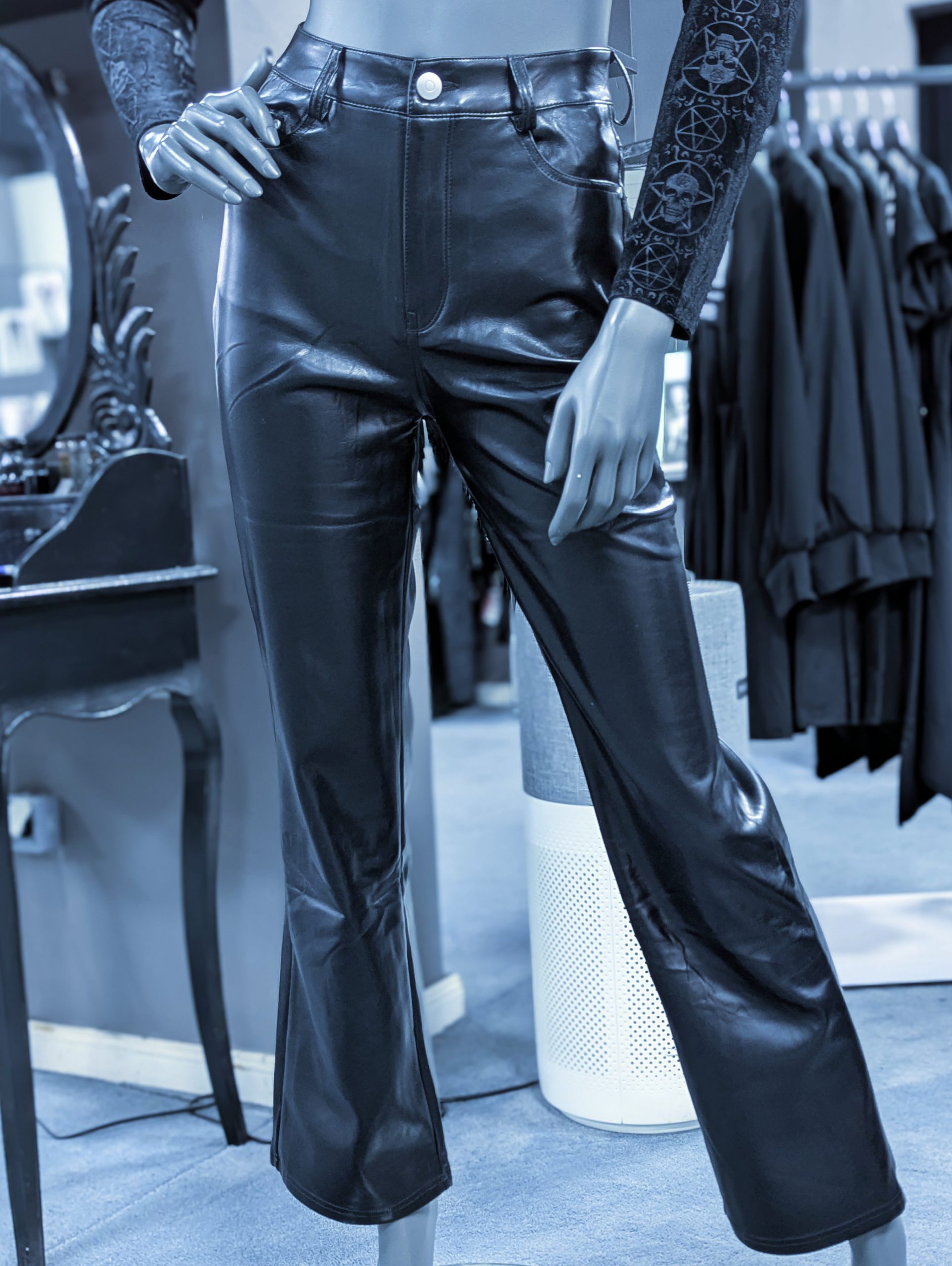 Meril Faux Leather Pants