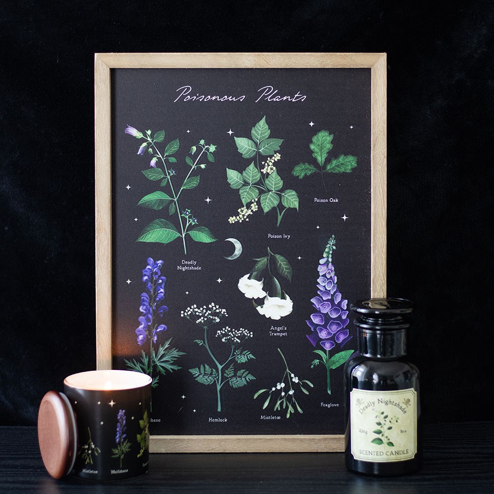 Poisonous Plants Framed Wall Art