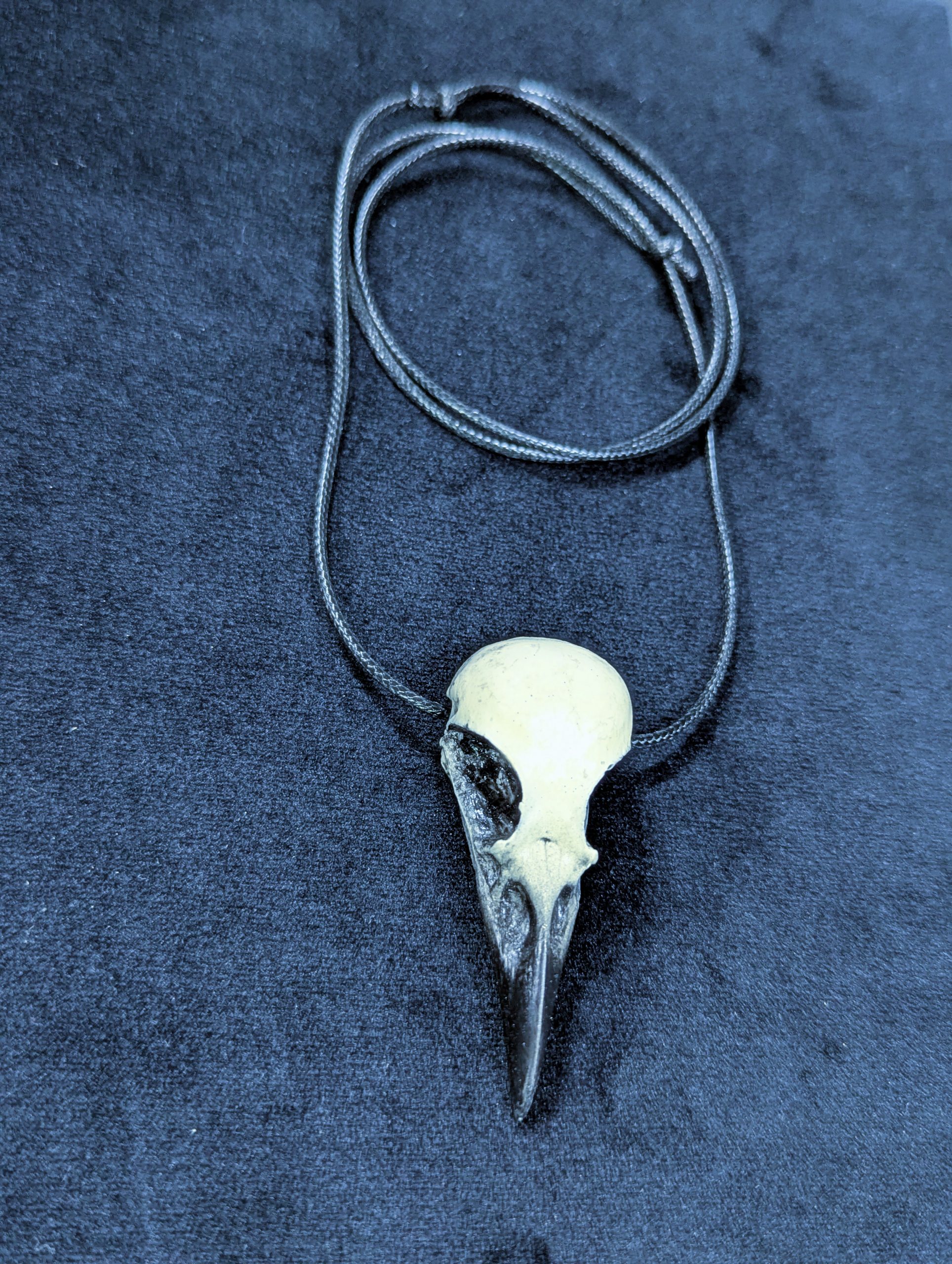 Mystery Creation Kette Rabenschädel weiß mit Schnabel medium – Bild 2