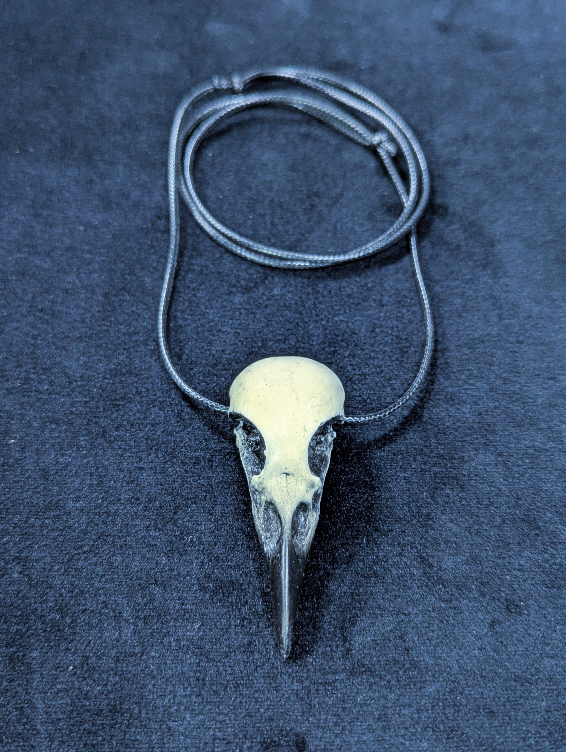 Mystery Creation Kette Rabenschädel weiß mit Schnabel medium