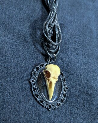 Mystery Creation Camee Kette schwarz Rabenschädel natur